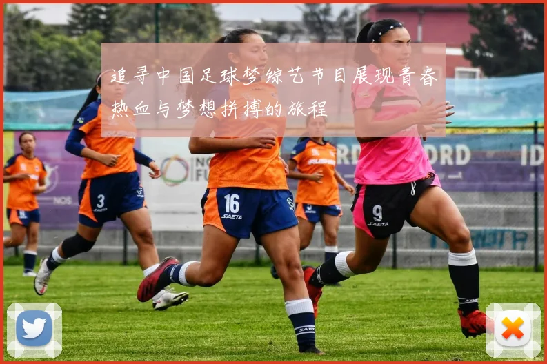 追寻中国足球梦综艺节目展现青春热血与梦想拼搏的旅程